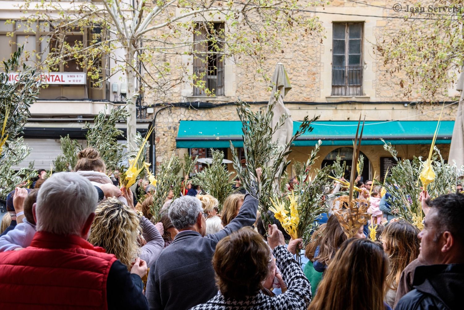 Semana Santa | Las imágenes del Domingo de Ramos en los pueblos de Mallorca