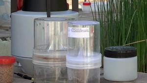 Barcelona incorpora trampas inteligentes de mosquitos para prevenir riesgos en la salud
