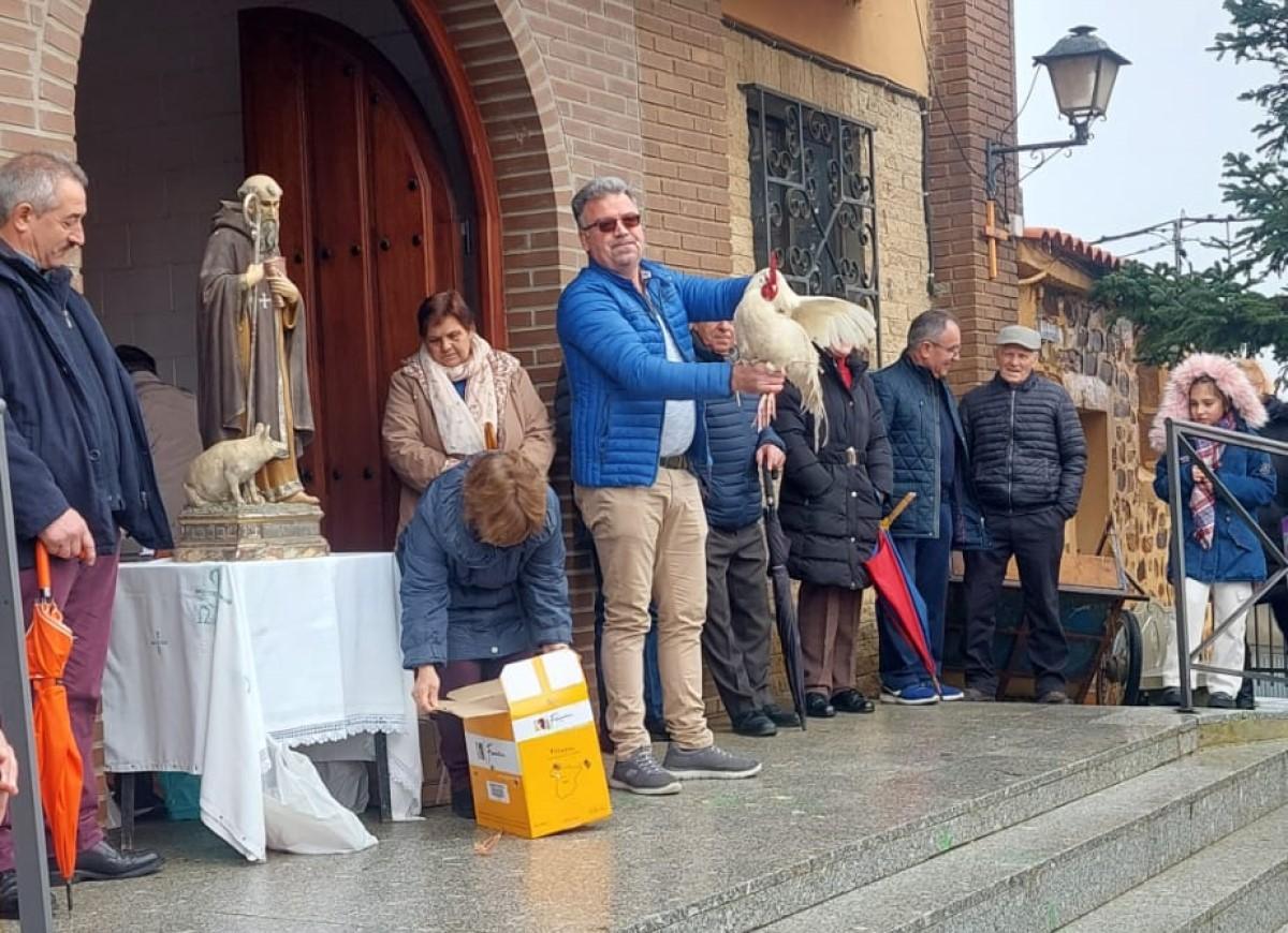 Subasta de animales en una localidad de la comarca. Una protectora denunció ante la Junta, que no ha respondido.