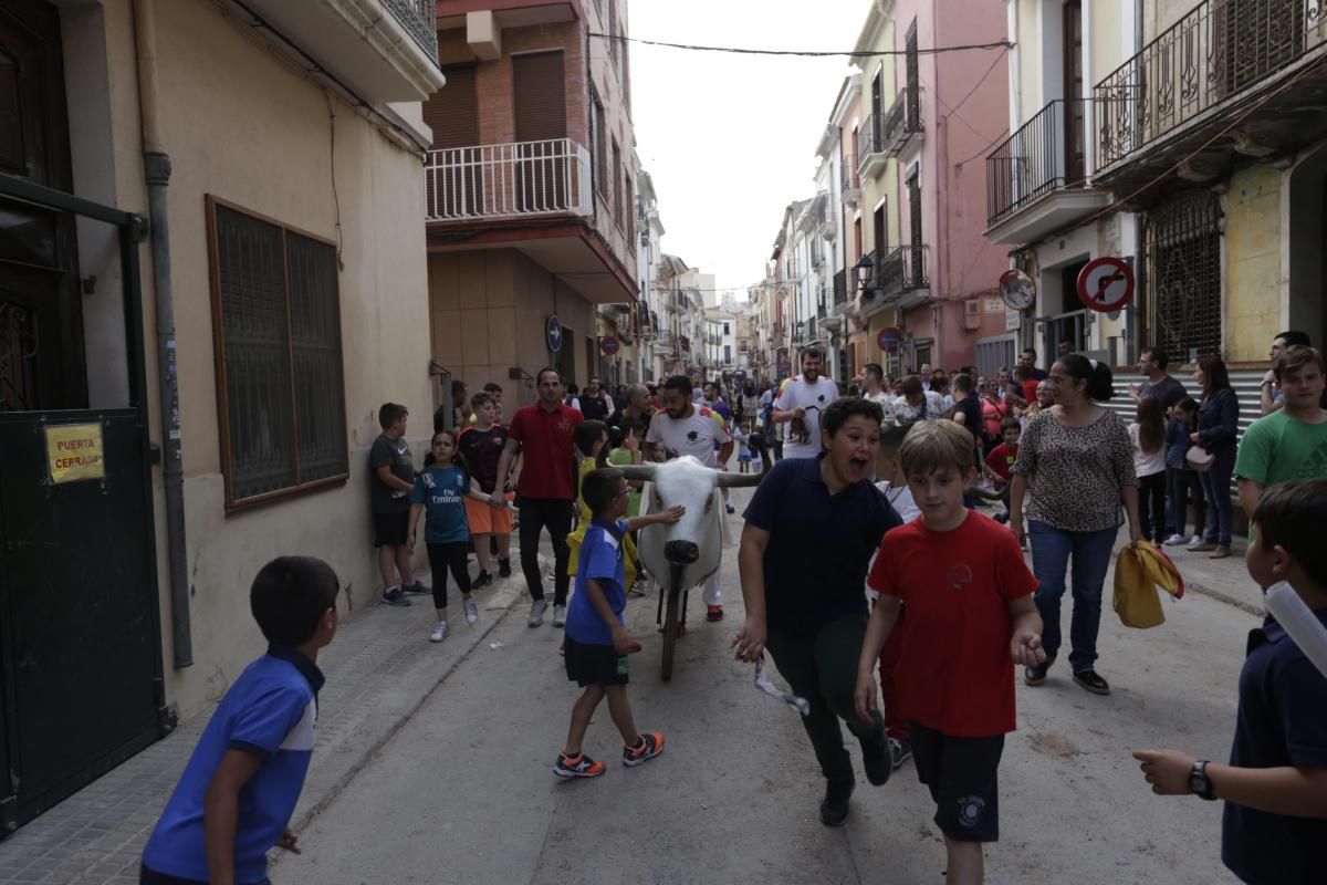 Fiestas patronales de Santa Quitèria de almassora III