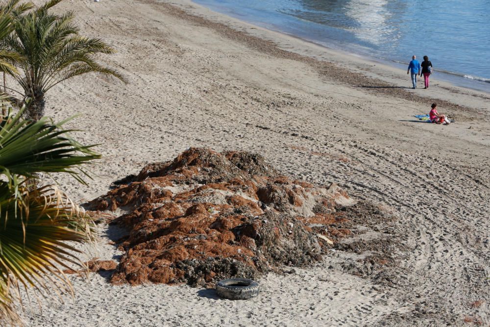 Alicantinos y turistas disfrutan a 20 grados de un