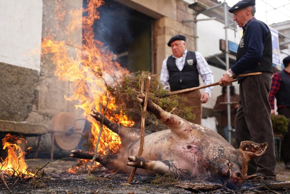 Donsión celebra por todo lo alto su Matanza Tradicional do Porco