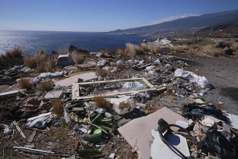 Liberación de una pardela cenicienta recuperada en la campaña de protección 2021