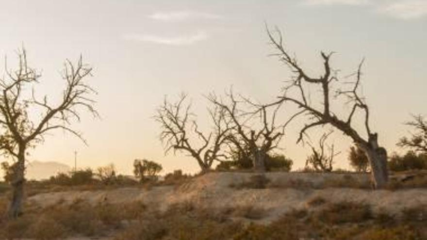 La sequía ha cambiado el paisaje de algunas zonas