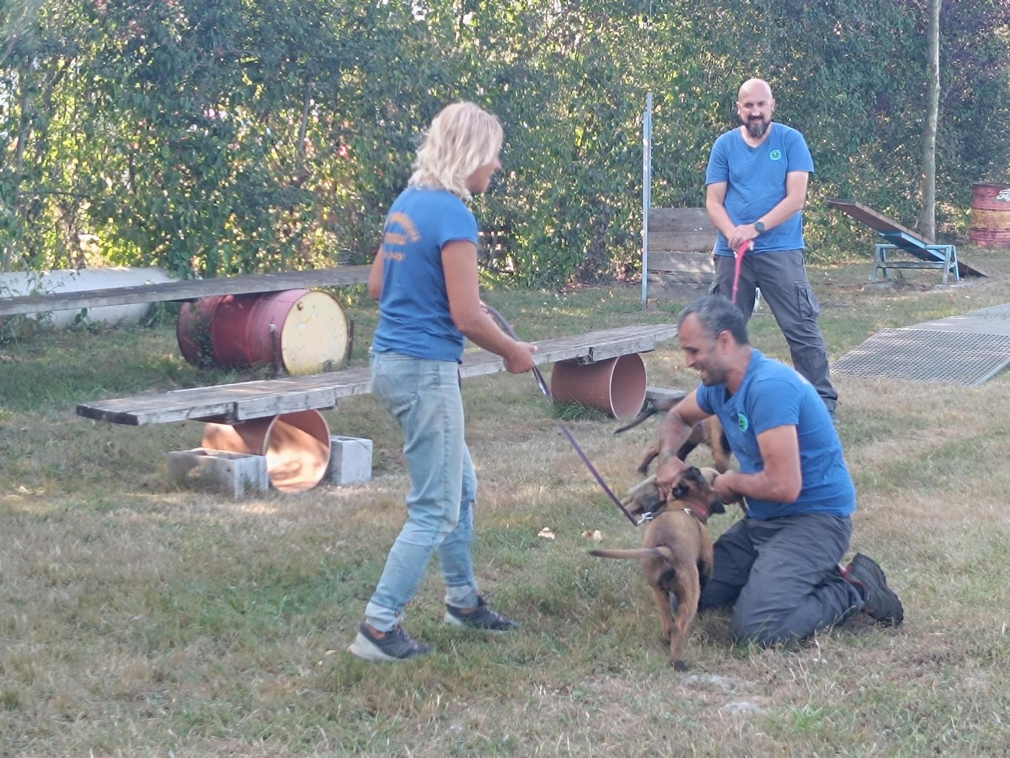 Así entrenan los nuevos integrantes de la Unidad Canina de Rescate del Principado