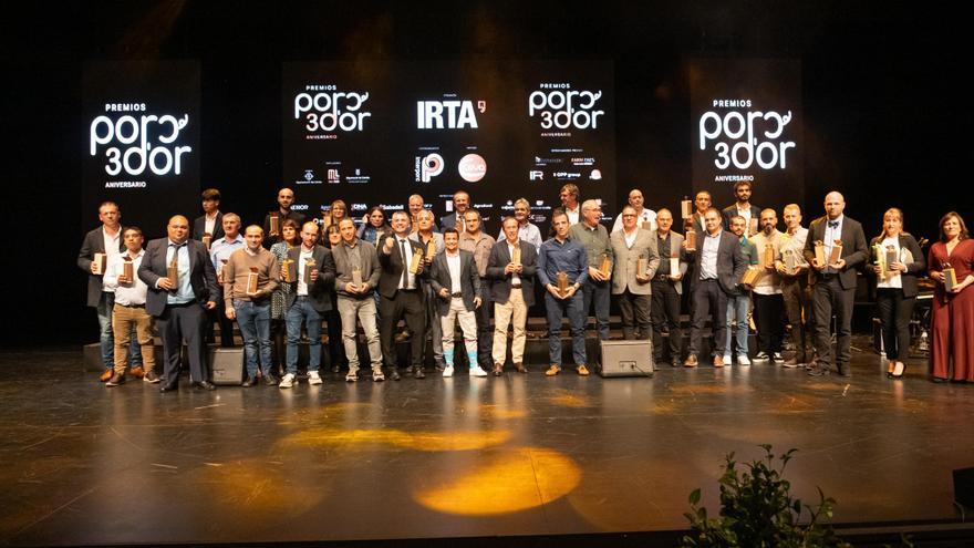 Aragón muestra su fortaleza y liderazgo en el sector porcino