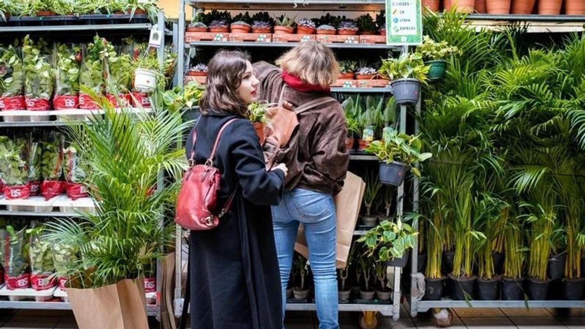 Gran Venta de Plantas de 'Plantes Pour Tous'