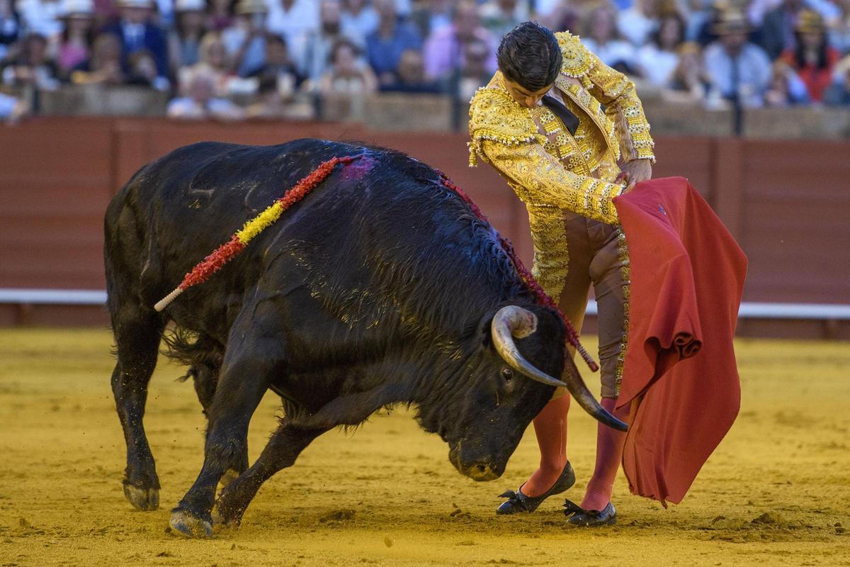 Pablo Aguado da un pase de pecho al último de la tarde.