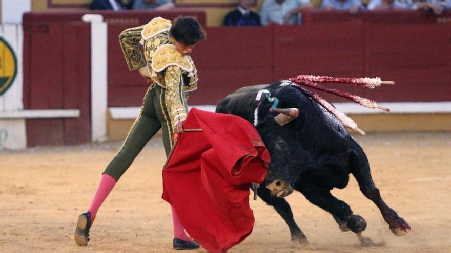 Banderillas Toros Colgantes