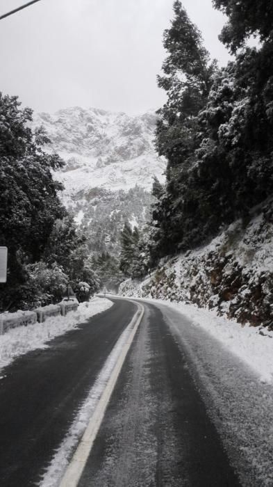 Am Samstag (10.2.) schneite es weiter in der Tramuntana.