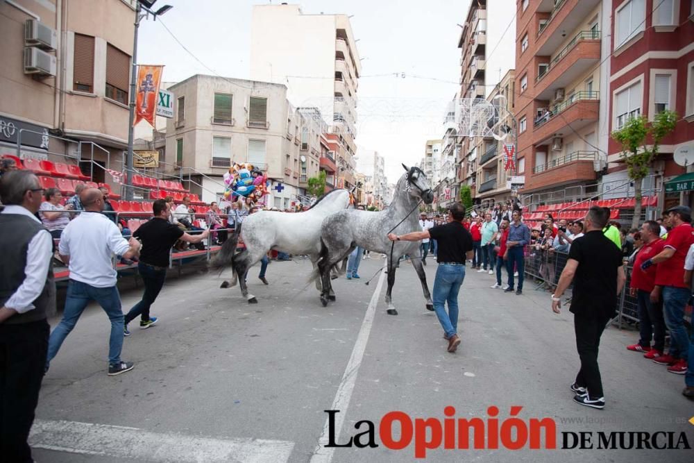 Caballos del Vino: Concurso morfológico (salida Pl