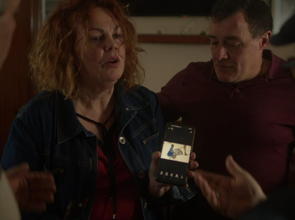 Frames de filmes que se preentarán en Oriéntate