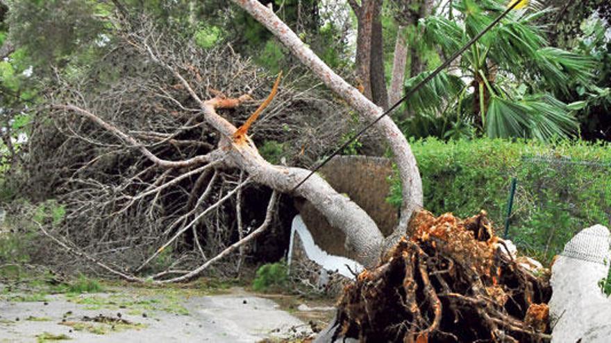 Miedo e indignación por el caos que provoca la primera tormenta del otoño