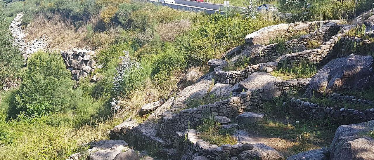 La maleza, ayer, rodeando las viviendas descubiertas en la excavación, con la Autovía al fondo.