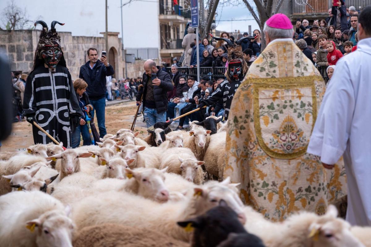 So eindrucksvoll waren die Tiersegnungen zu Sant Antoni 2026 in Muro