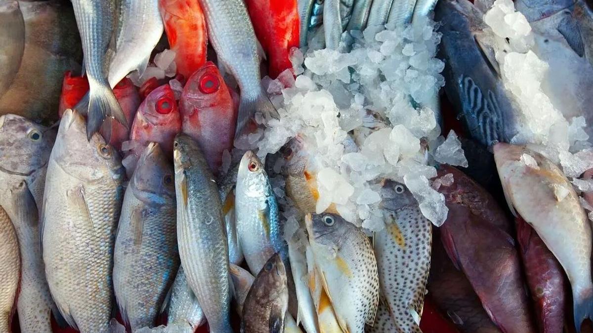 El consumo de pescado es muy alto en la dieta atlántica.