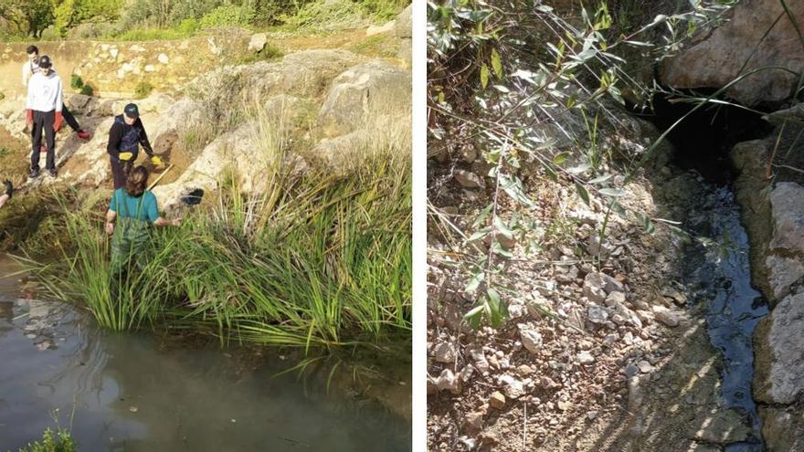 La falta de lluvia pone en riesgo el caudal de los ‘ullals’ de Almenara