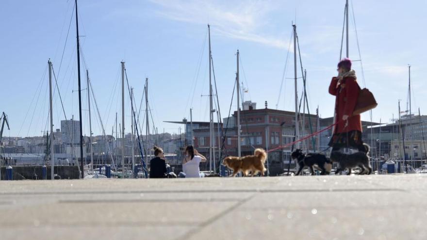 La Marina de A Coruña un día soleado.