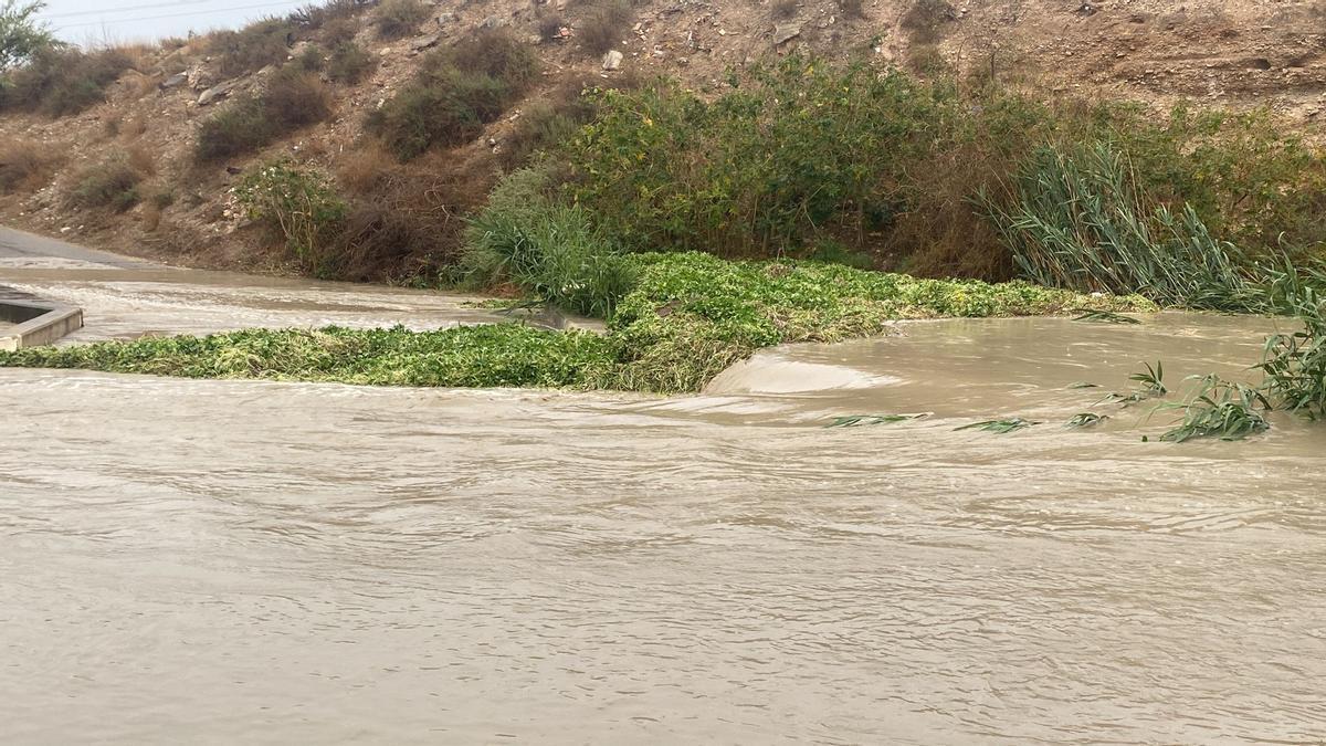 Desbordamiento de un paso inundable del río Seco por la acumulación de una planta invasora