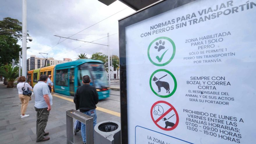 El nuevo comité de empresa enfila el final de la huelga del tranvía de Tenerife