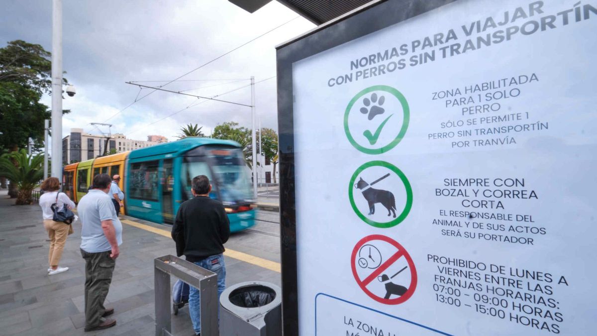 El tranvía de Tenerife entra en la parada de Fundación sentido La Laguna