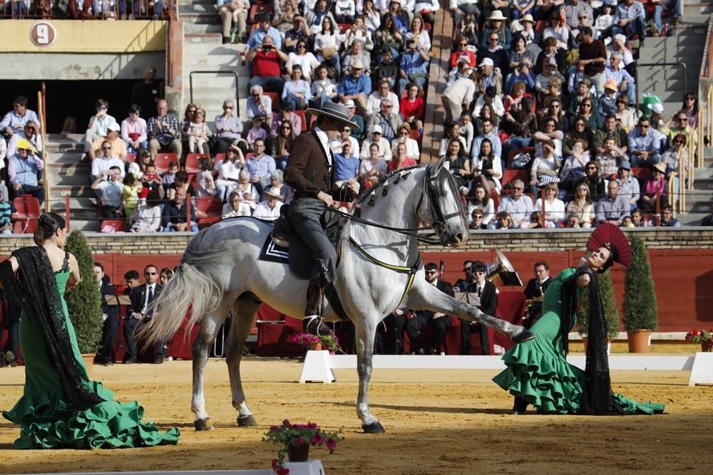 El mundo del caballo contra el cáncer