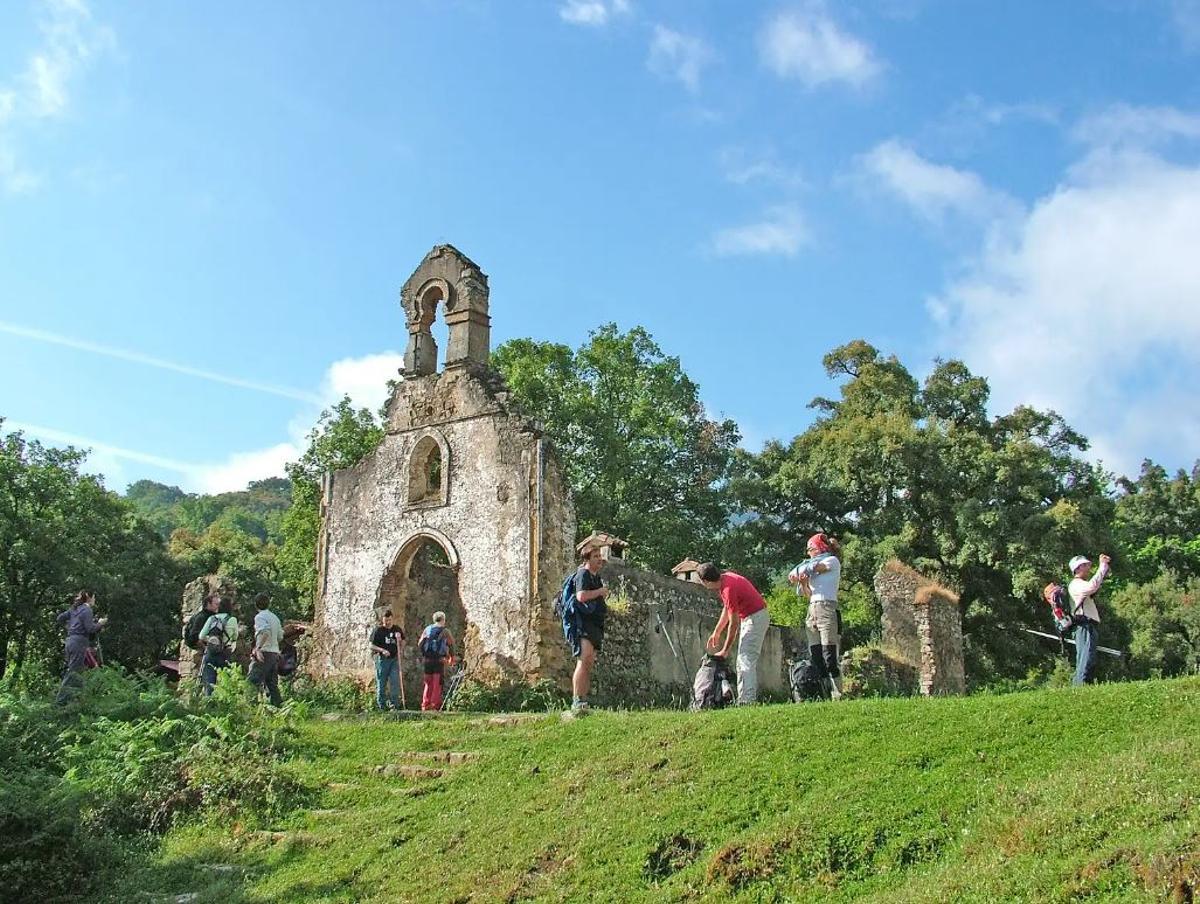 Bosque de La Sauceda, el paraje natural en el que se pueden ver ciervos y buitres entre alcornoques