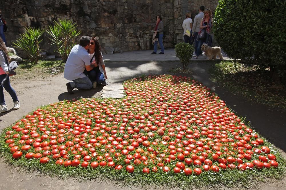 Últim dia de Temps de Flors