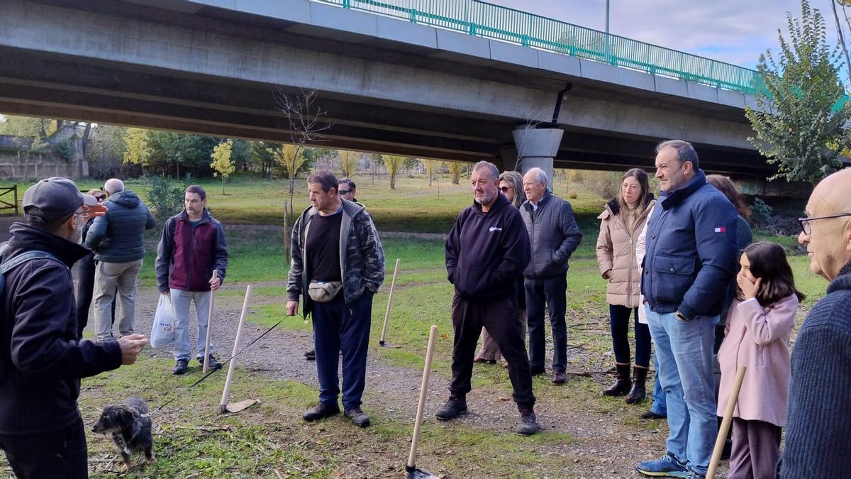 Un instante de la plantación de olmos.