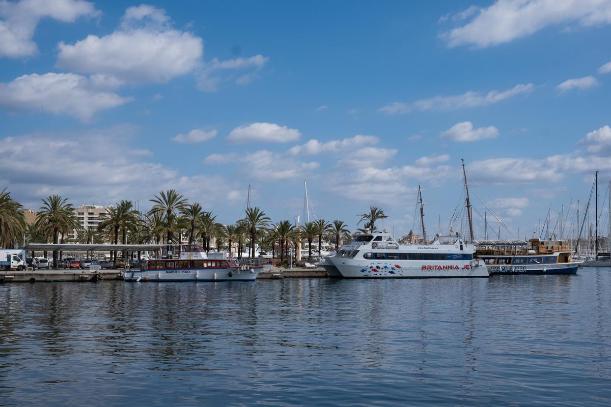 Vista general del Muelle de las Golondrinas de Palma desde el nuevo Paseo Marítimo