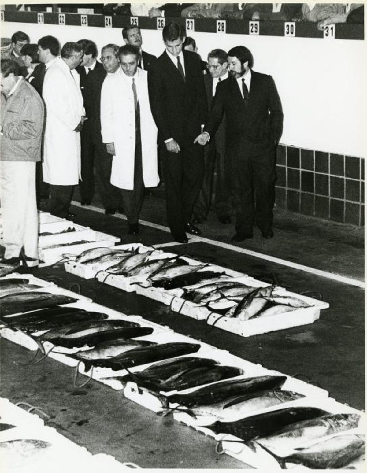 scaner_FELIPE 16.jpg scaner_FELIPE 16.jpg