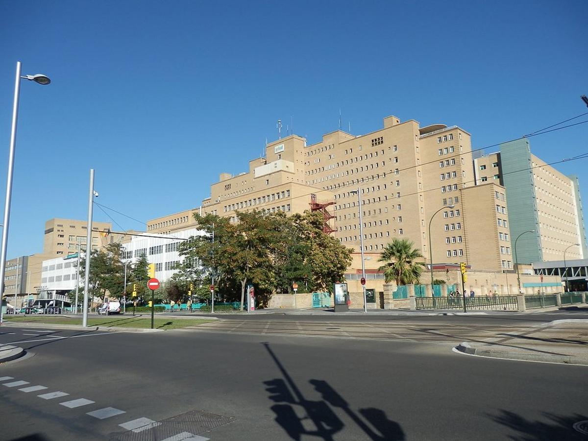 hospitalmiguelservet 2