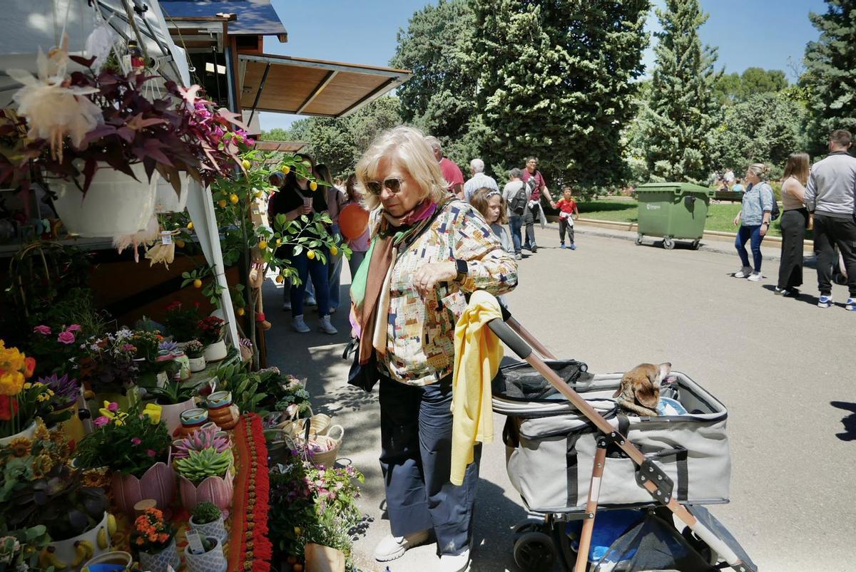 En imágenes | Gran afluencia de público para disfrutar del Zaragoza Florece