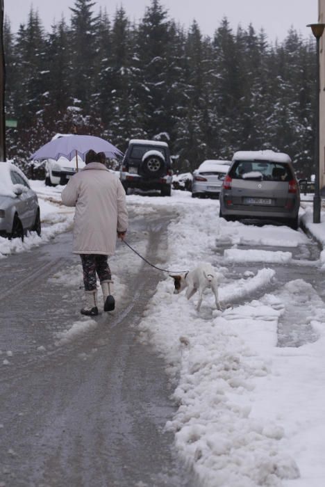 Imatges de la nevada a Sant Hilari Sacalm