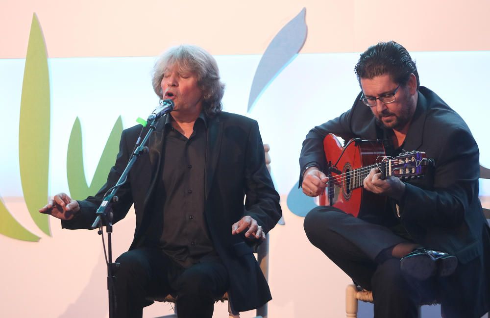 Presentación de la campaña 'Andalucía, intensamente', en la Aduana