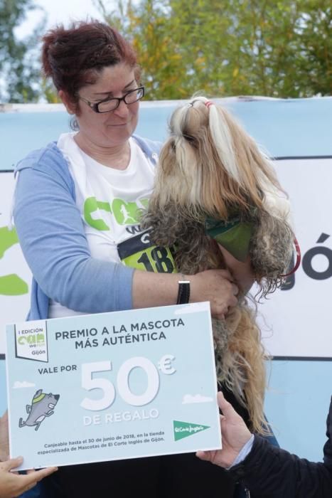 "Can We Run": Deporte, perros y solidaridad toman Gijón