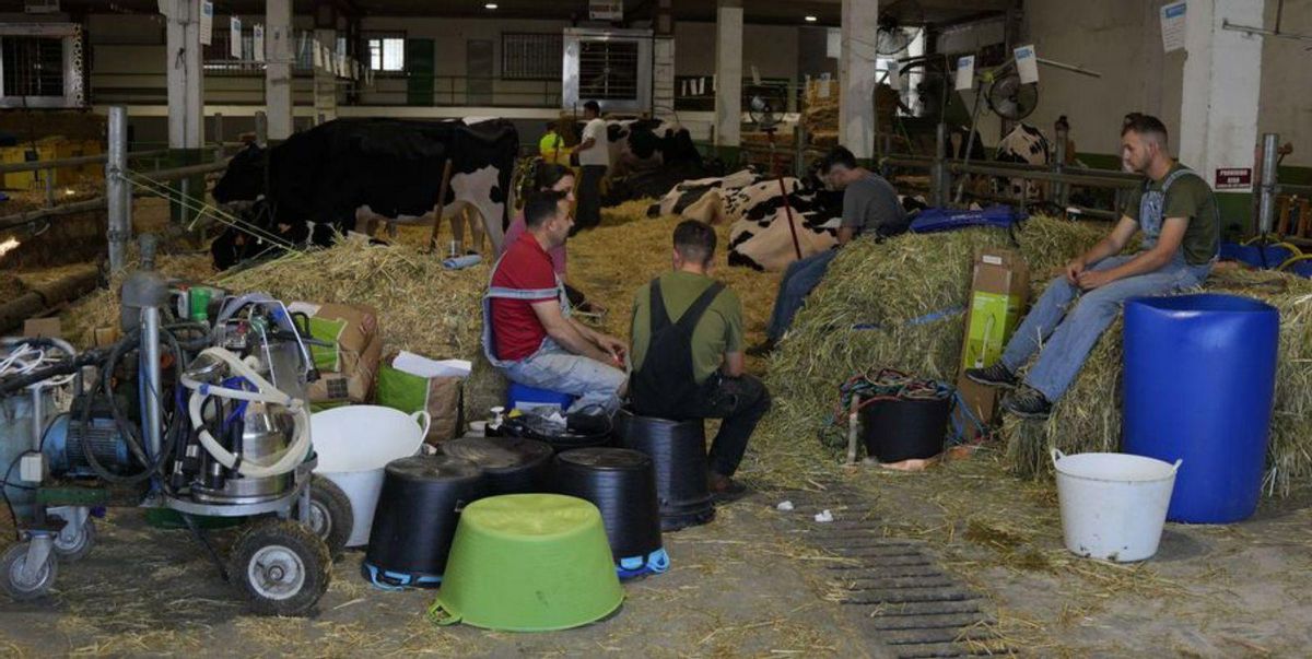 Participantes en el certamen de Feiradeza. | Bernabé