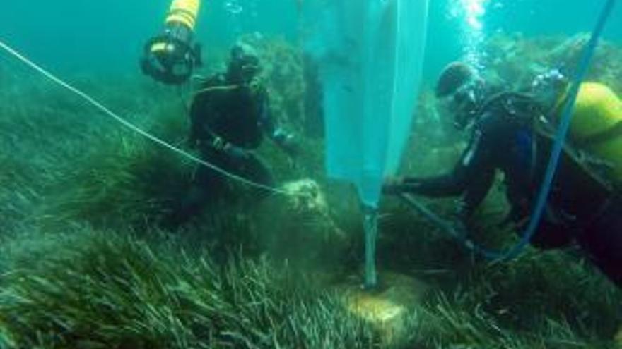 Submarinistes al fons marí del Baix Empordà, retirant morts de fondeig, en una imatge d´arxiu