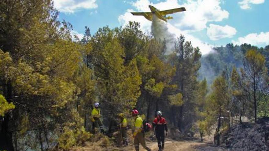 Los equipos de extinción en la zona de Penàguila.