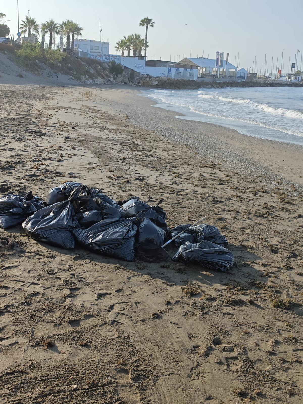 El Ayuntamiento ha comenzado esta tarde a retirar las algas de las playas malagueña, como esta en la zona de Huelin.