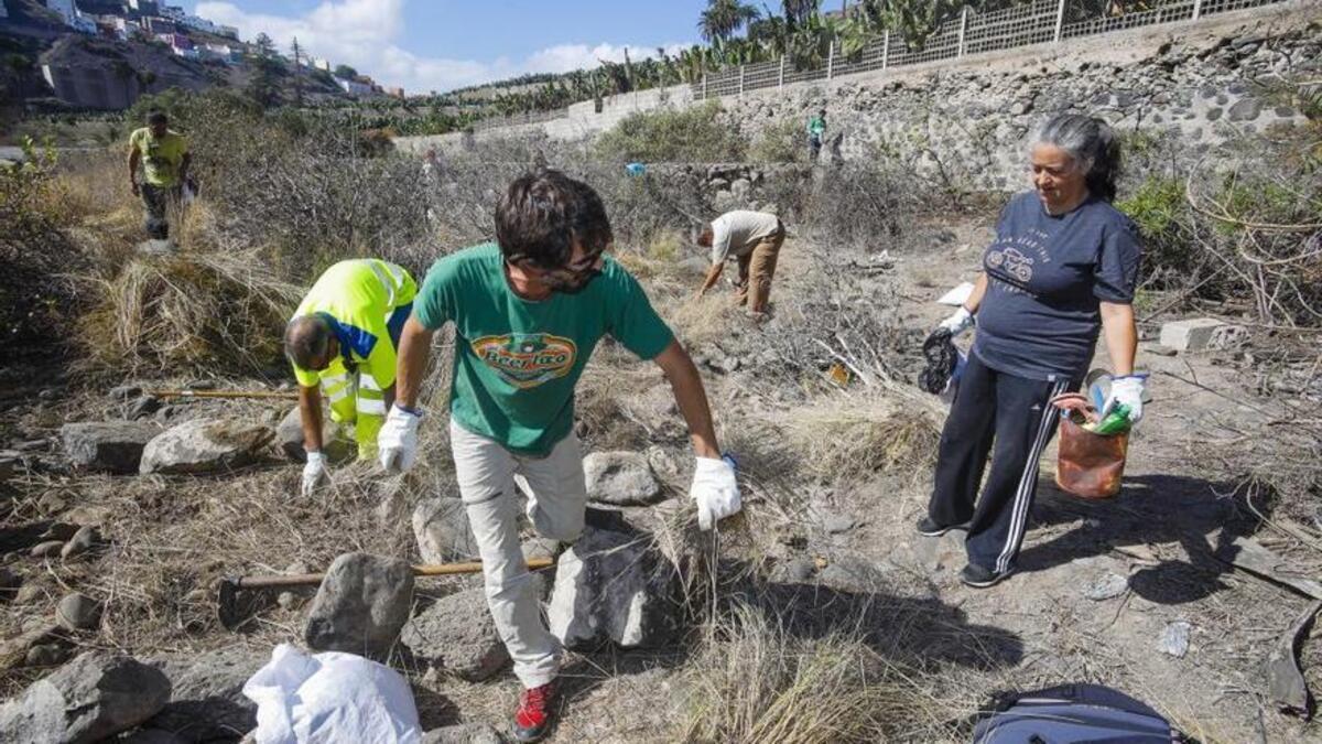 Voluntarios erradican la planta rabo de gato del Guiniguada, en Las Palmas de Gran Canaria.