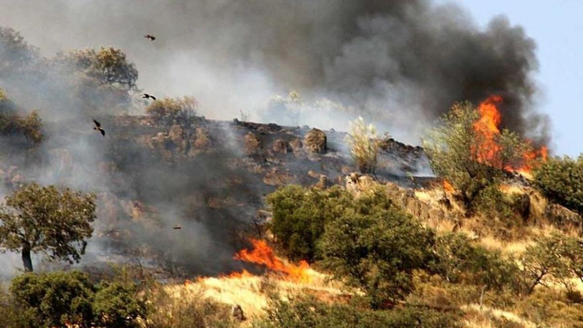 El fuego en el término municipal de Puebla del Maestre en julio de 2017.