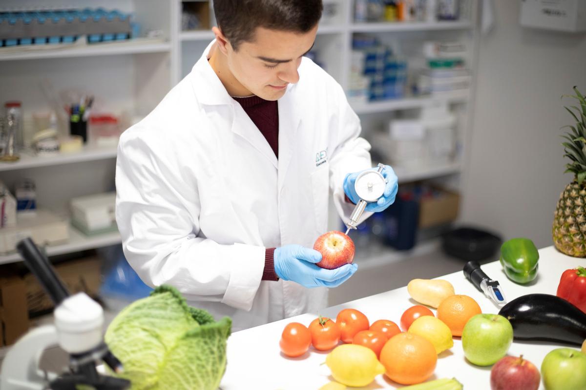 El Grado Universitario de Nutrición Humana y Dietética tiene un alto grado de empleabilidad.