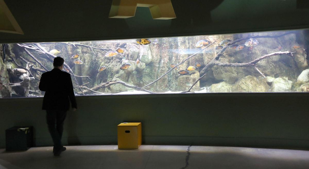 El acuario fluvial de Zaragoza, en una imagen de archivo.