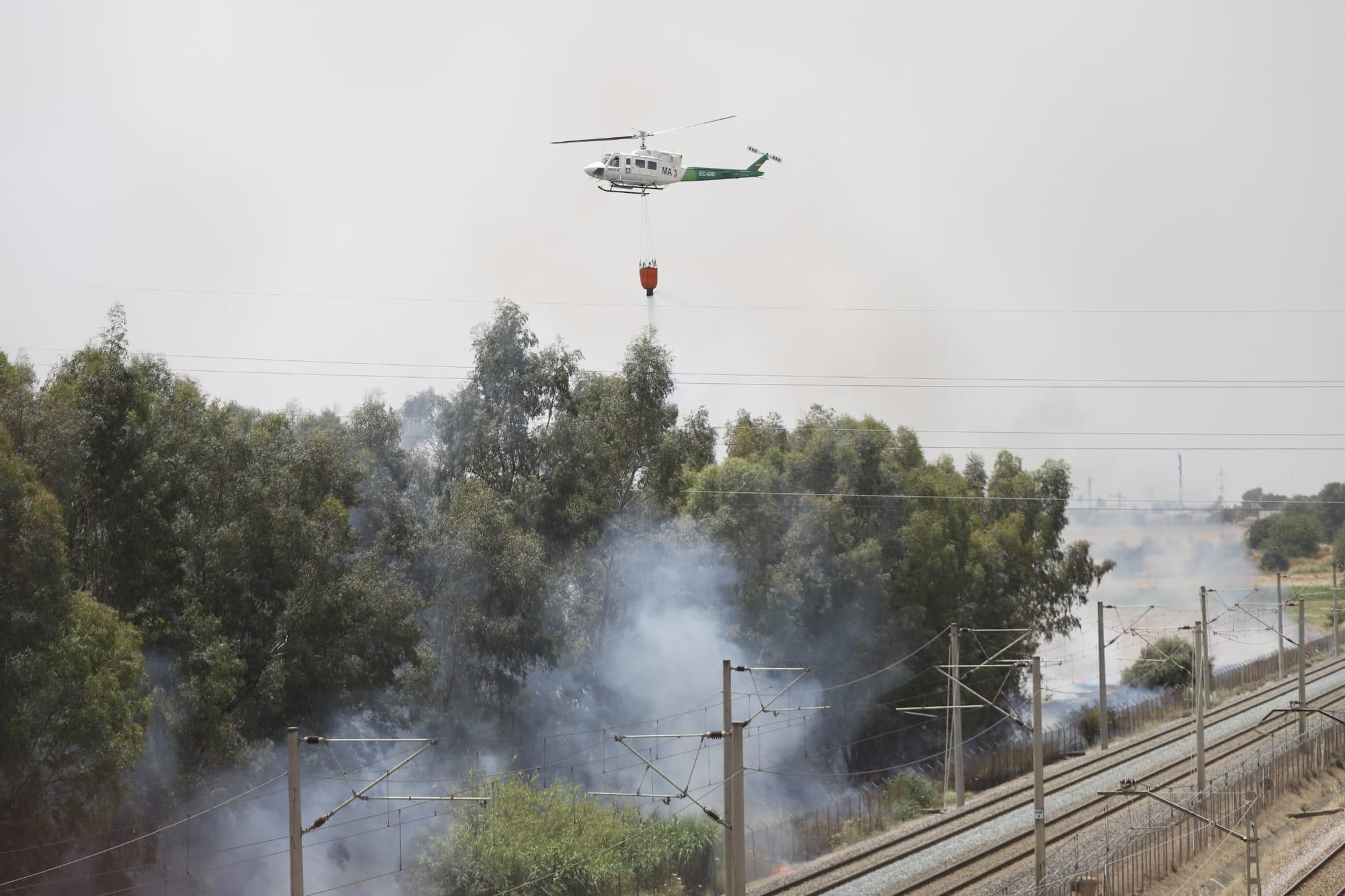Un incendio de pastos junto al Parque Joyero moviliza a bomberos, Infoca y Policía Local