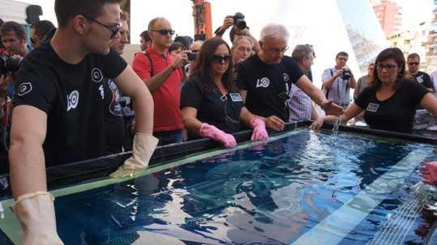 La Agrupación Fotográfica de Villena consiguió ayer la cianotipia con la imagen del Tesoro.