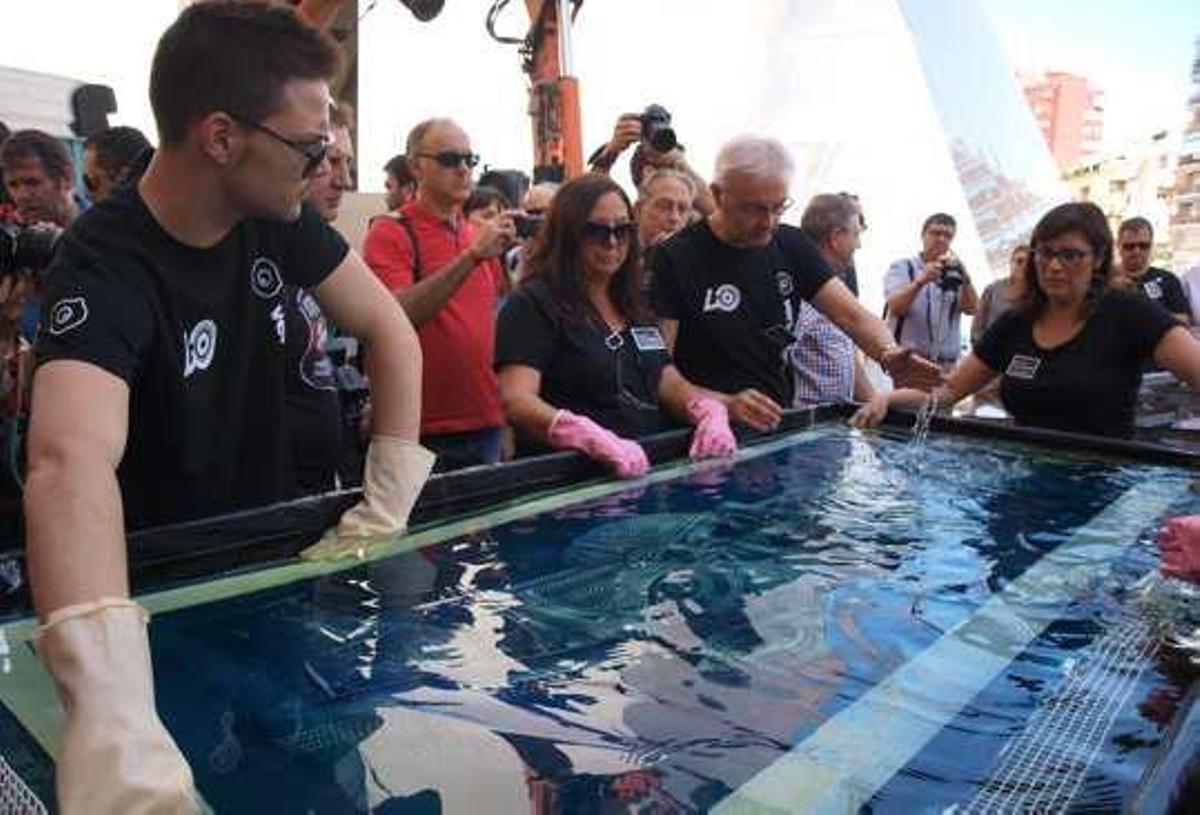 La Agrupación Fotográfica de Villena consiguió ayer la cianotipia con la imagen del Tesoro.