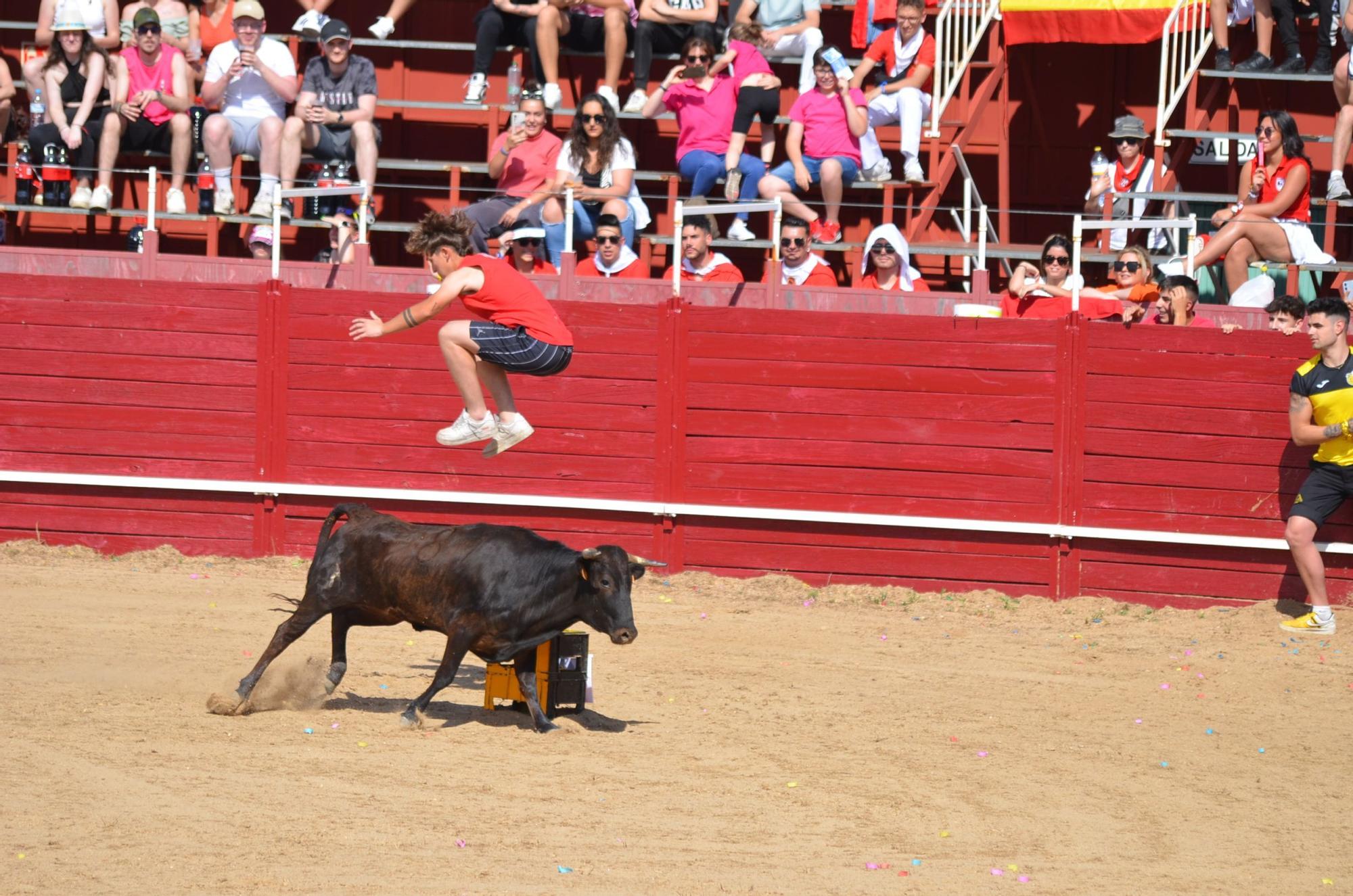 Fiestas del Toro en Benavente: Las mejores imágenes del "Juego de la NTE"