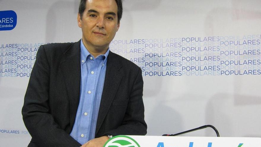 Nieto dice que la campaña de la Junta contra la violencia de género es &quot;de libro&quot;