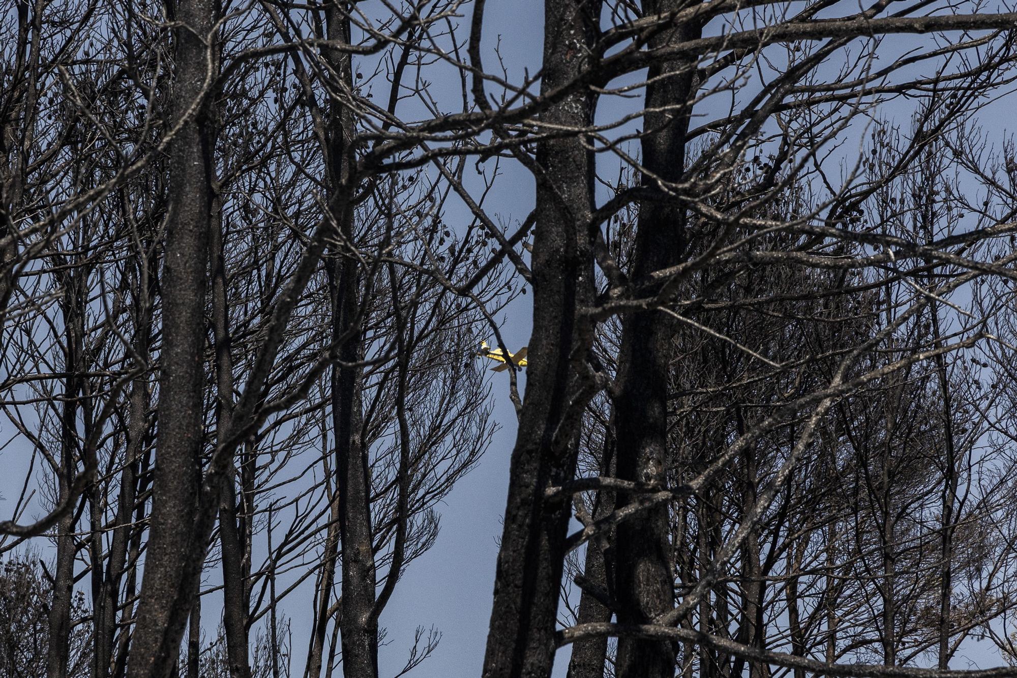 El incendio de Bejís, en imágenes